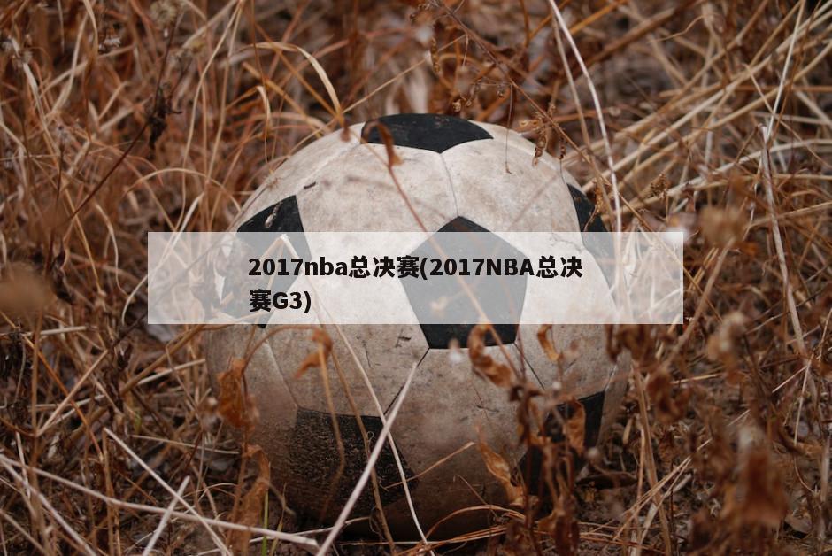 2017nba总决赛(2017NBA总决赛G3)