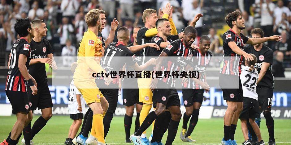 cctv世界杯直播(世界杯央视)