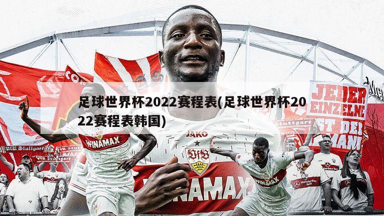 足球世界杯2022赛程表(足球世界杯2022赛程表韩国)