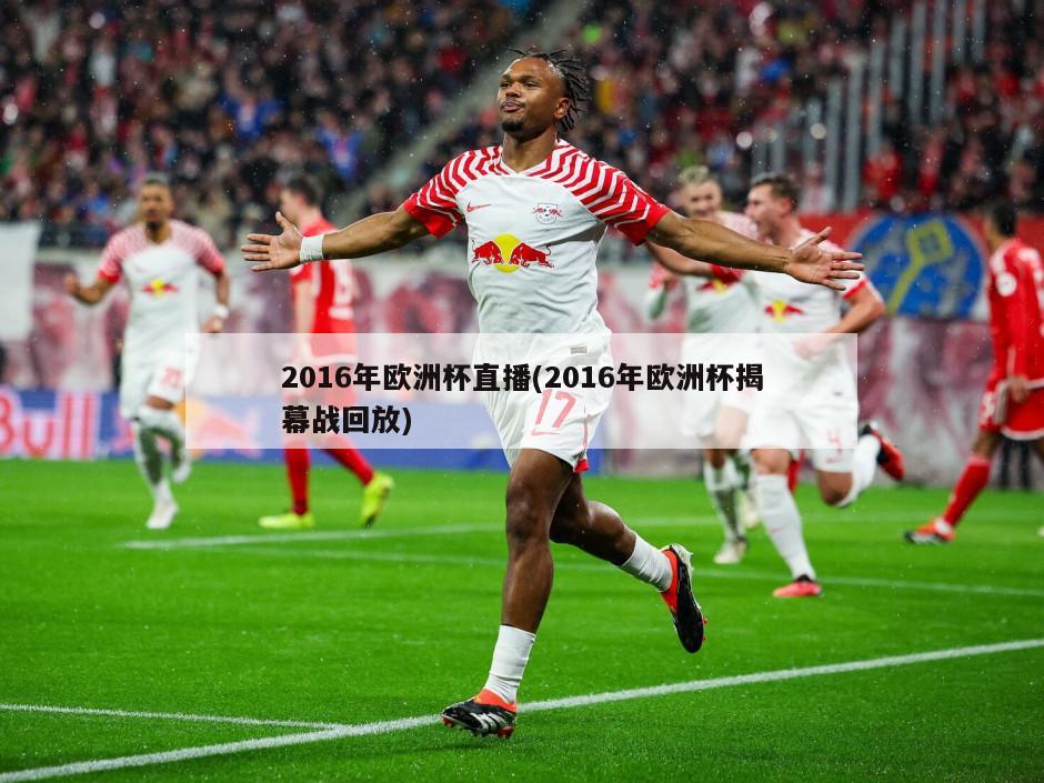 2016年欧洲杯直播(2016年欧洲杯揭幕战回放)