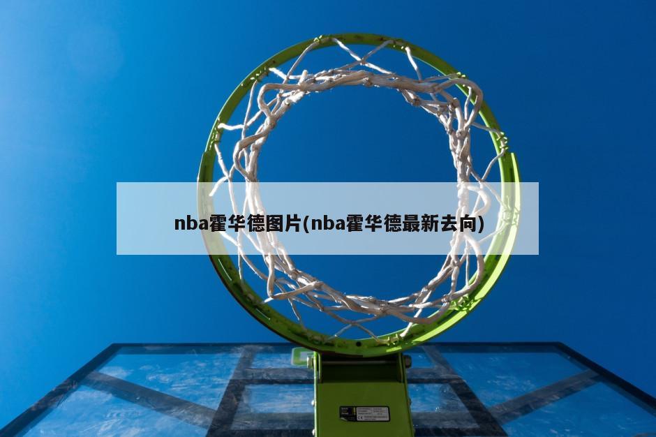 nba霍华德图片(nba霍华德最新去向)