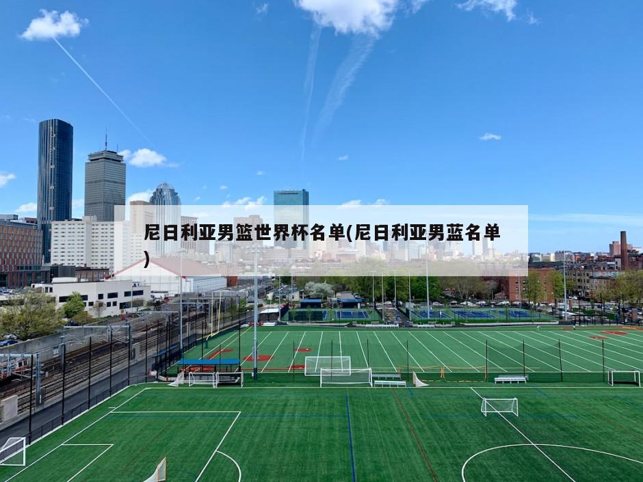 尼日利亚男篮世界杯名单(尼日利亚男蓝名单)