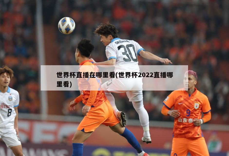 世界杯直播在哪里看(世界杯2022直播哪里看)