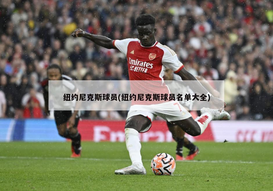 纽约尼克斯球员(纽约尼克斯球员名单大全)