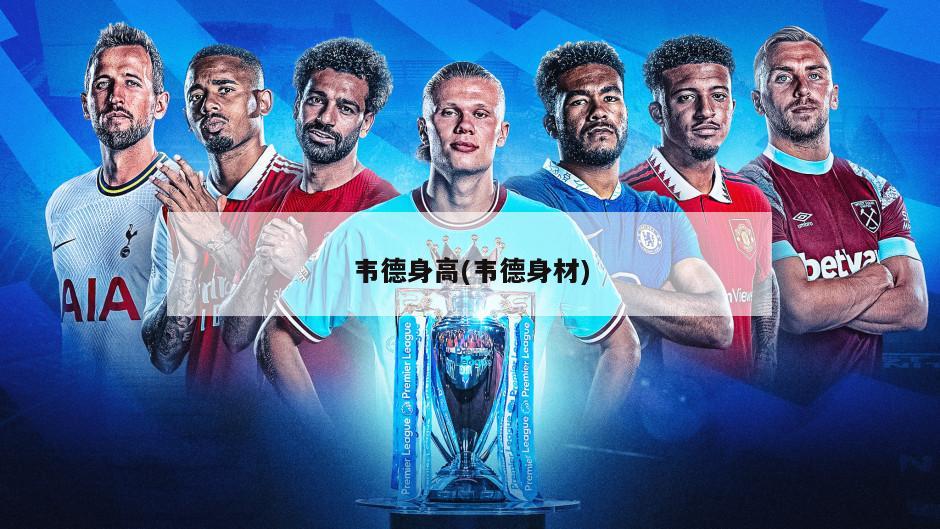 韦德身高(韦德身材)