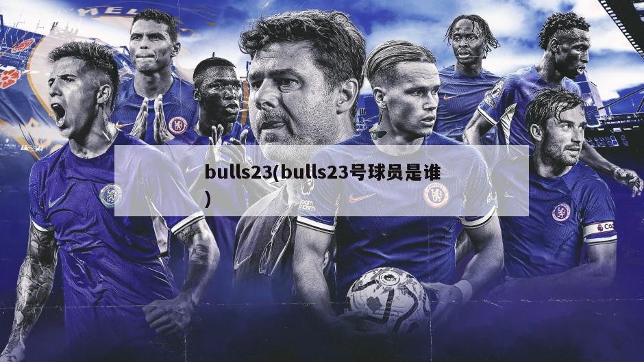 bulls23(bulls23号球员是谁)