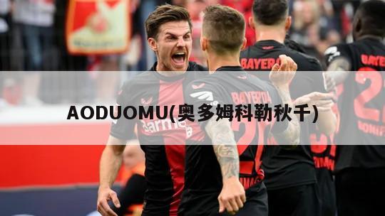 AODUOMU(奥多姆科勒秋千)