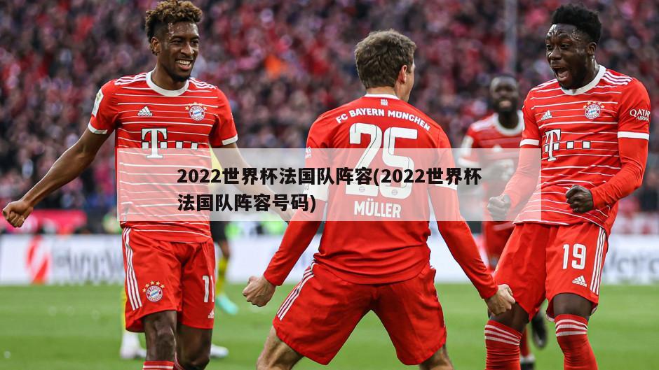 2022世界杯法国队阵容(2022世界杯法国队阵容号码)