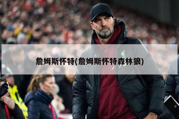 詹姆斯怀特(詹姆斯怀特森林狼)